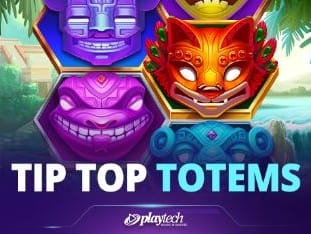Tip Top Totems screenshot